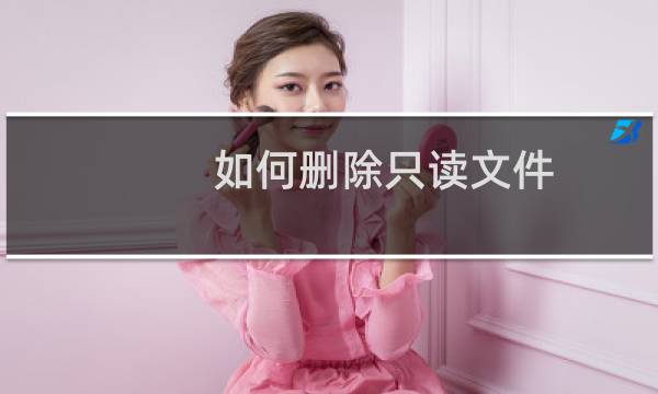 如何删除只读文件