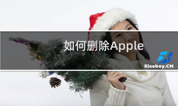 如何删除Apple ID账户