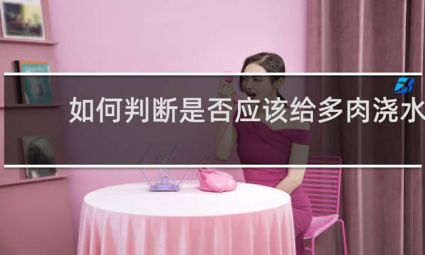 如何判断是否应该给多肉浇水