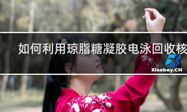 如何利用琼脂糖凝胶电泳回收核酸