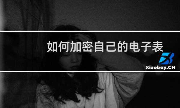 如何加密自己的电子表格文档？
