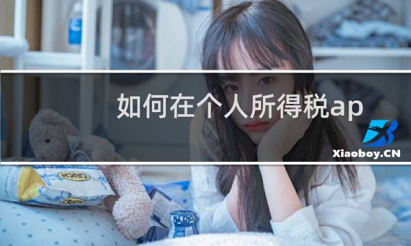 如何在个人所得税app中查询自己的收入纳税明细