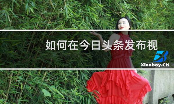如何在今日头条发布视频