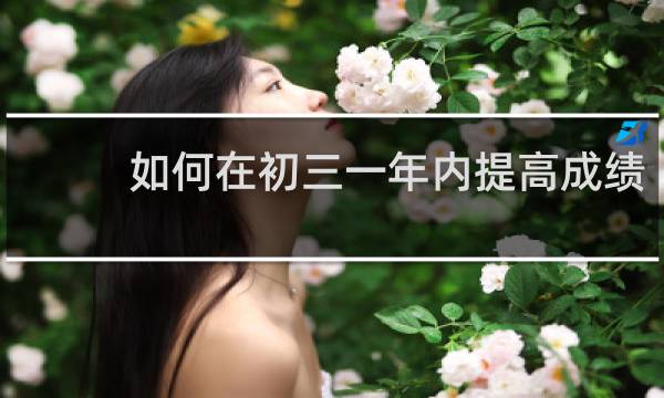 如何在初三一年内提高成绩
