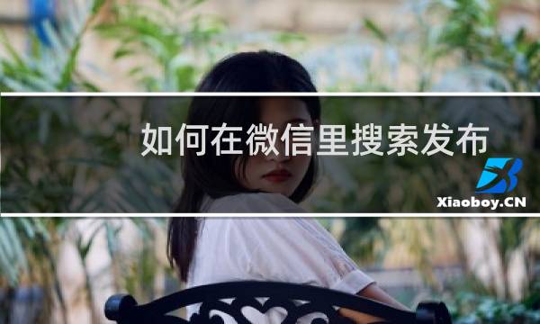 如何在微信里搜索发布成功的小程序