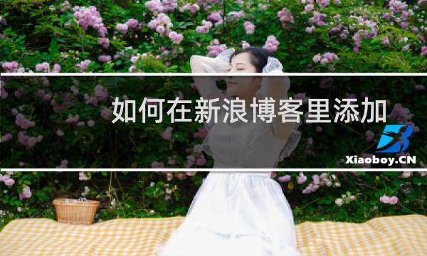 如何在新浪博客里添加图片超级链接