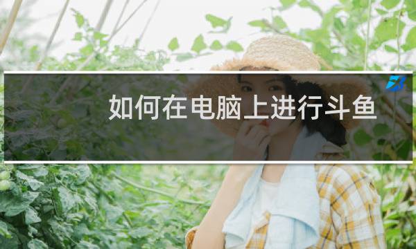 如何在电脑上进行斗鱼直播