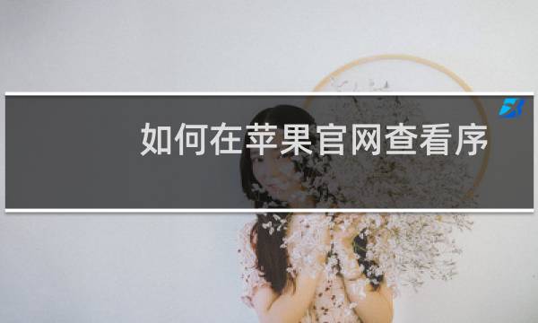 如何在苹果官网查看序列号IMEI?