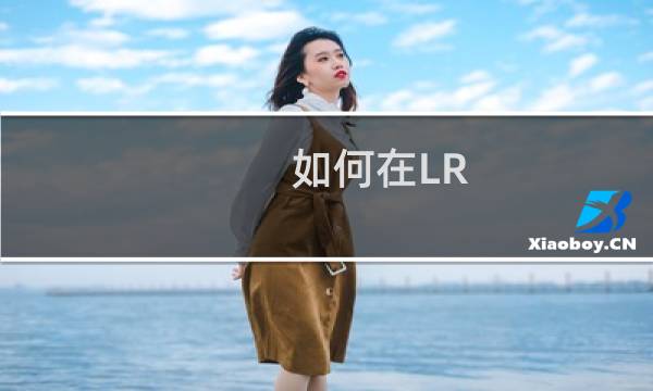 如何在LR/PS中导入预设?