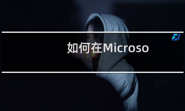 如何在Microsoft Excel 2016 设置显示方案摘要