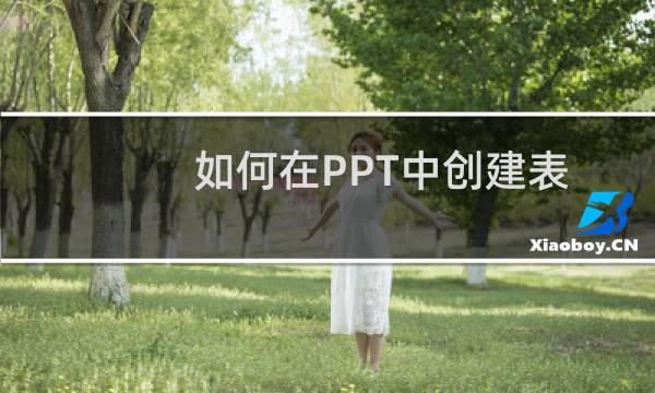 如何在PPT中创建表格或是操作单元格以及在单元格中添加文字