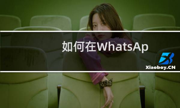 如何在WhatsApp上扫描二维码