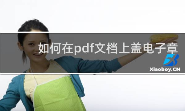 如何在pdf文档上盖电子章