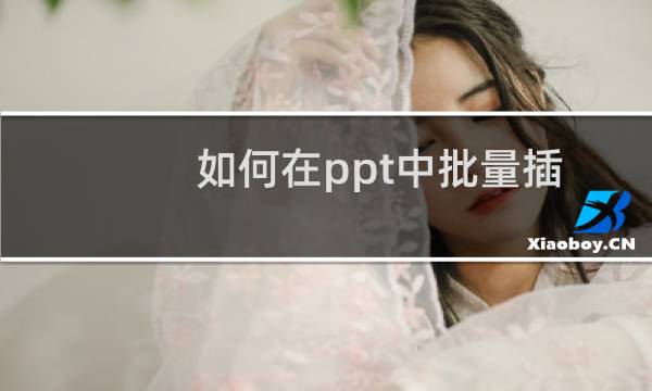 如何在ppt中批量插入图片，制成ppt