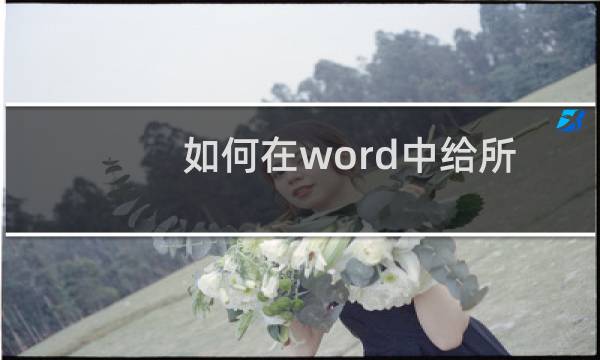如何在word中给所有图片自动编号