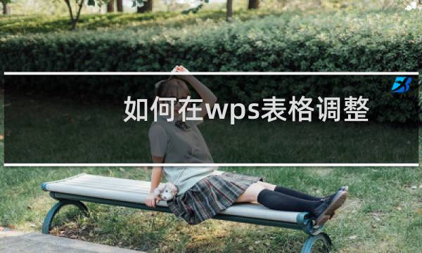 如何在wps表格调整行高