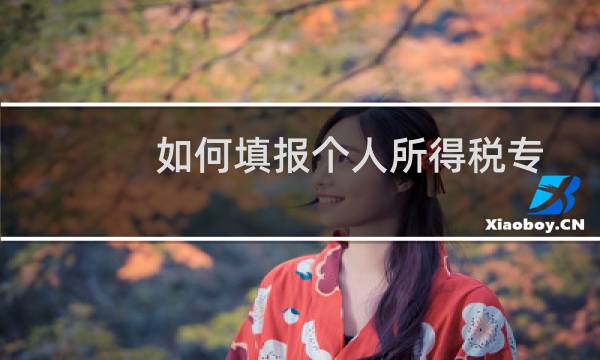 如何填报个人所得税专项附加扣除(个人所得税填报专项附加扣除怎么填)