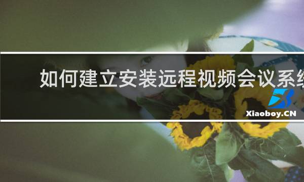 如何建立安装远程视频会议系统
