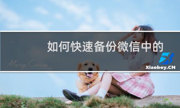 如何快速备份微信中的聊天记录？