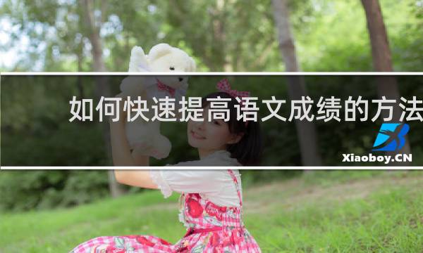 如何快速提高语文成绩的方法