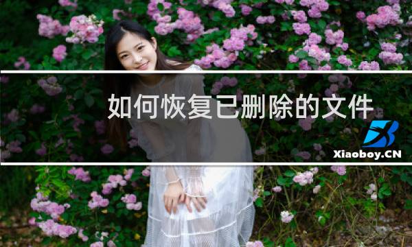 如何恢复已删除的文件从存储卡，存储卡数据恢复