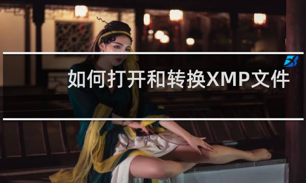 如何打开和转换XMP文件