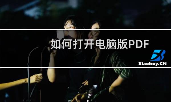 如何打开电脑版PDF文件的密码保护功能