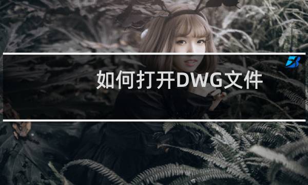 如何打开DWG文件