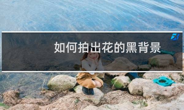如何拍出花的黑背景