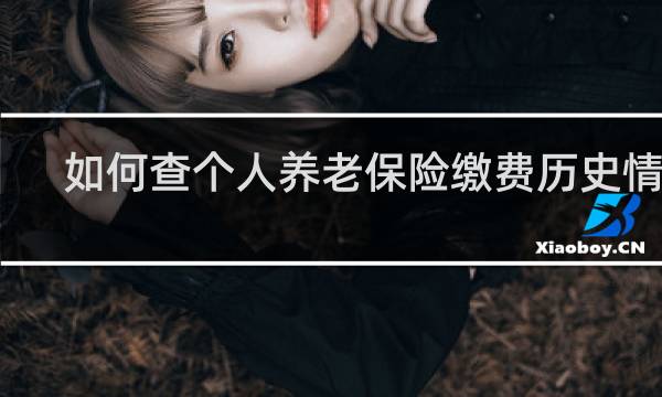 如何查个人养老保险缴费历史情况