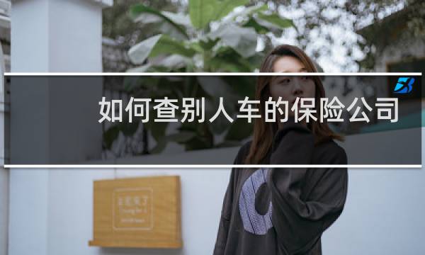 如何查别人车的保险公司图片