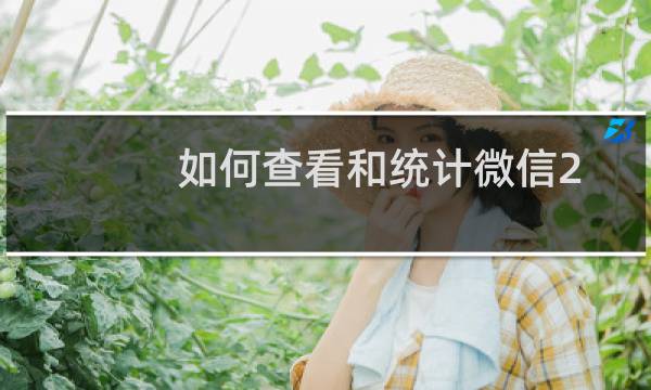 如何查看和统计微信2018年度账单？