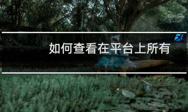 如何查看在平台上所有的备案信息
