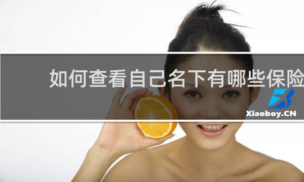 如何查看自己名下有哪些保险图片