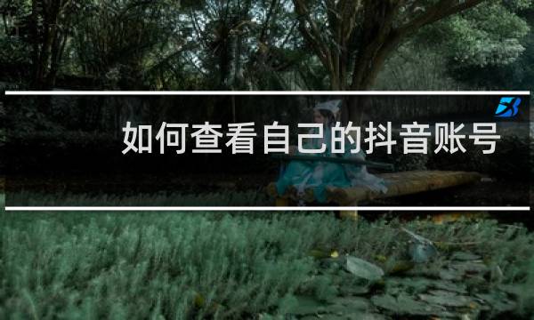 如何查看自己的抖音账号