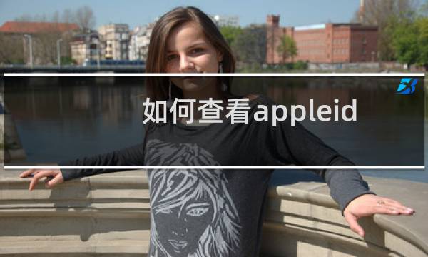 如何查看appleid