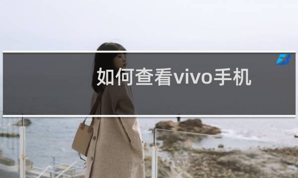 如何查看vivo手机的型号IP地址？