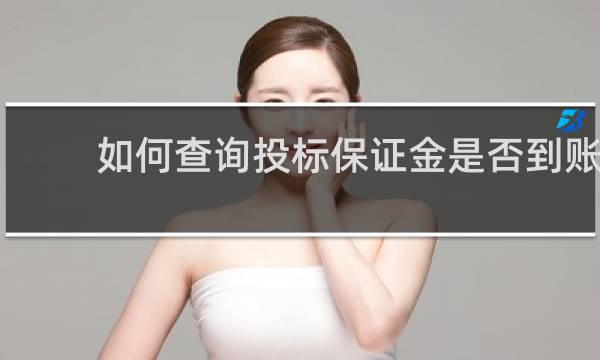 如何查询投标保证金是否到账