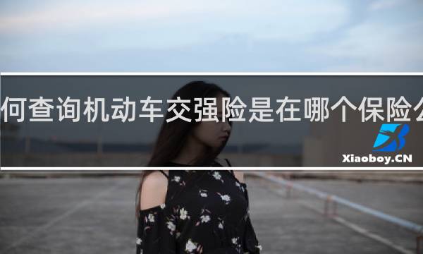 如何查询机动车交强险是在哪个保险公司买的