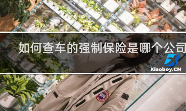 如何查车的强制保险是哪个公司的