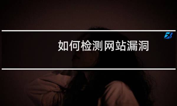 如何检测网站漏洞（教你一个简单的方法）