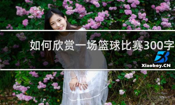 如何欣赏一场篮球比赛300字