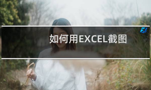 如何用EXCEL截图