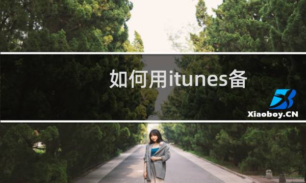 如何用itunes备份手机（如何用itunes备份）图片