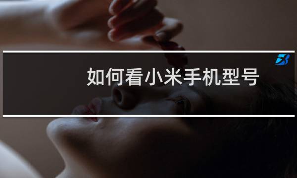 如何看小米手机型号