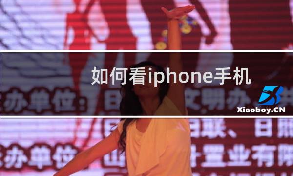 如何看iphone手机型号