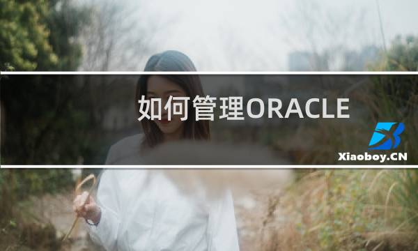 如何管理ORACLE数据库中的数据
