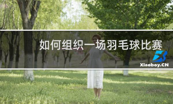 如何组织一场羽毛球比赛