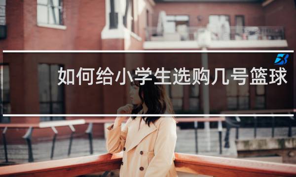 如何给小学生选购几号篮球