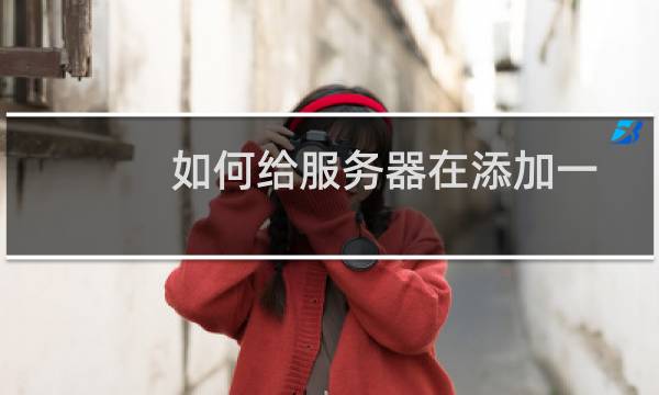 如何给服务器在添加一个硬盘